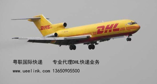 流塘DHL国际快递取件